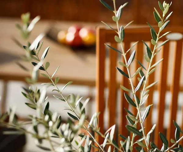 Bura House Σπίτι διακοπών *