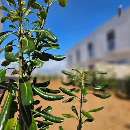 Bura House *